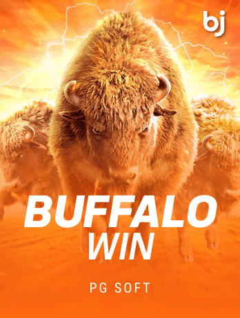 Buffalo Winpng screenshot
